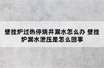 壁挂炉过热停烧并漏水怎么办 壁挂炉漏水泄压是怎么回事